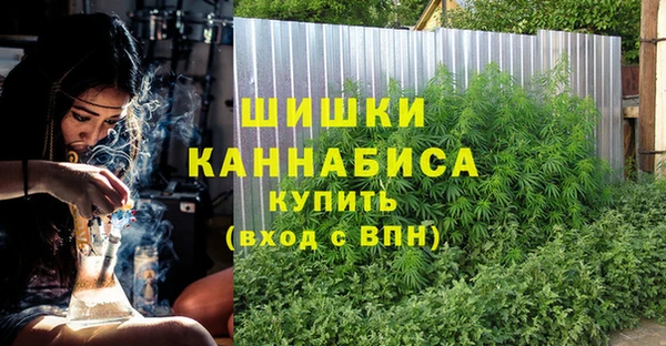 прущие грибы Армянск