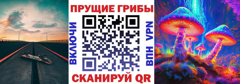 ссылка на мегу сайт Чкаловск Псилоцибиновые грибы прущие грибы наркота
